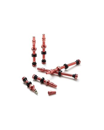 Ridenow Tubeless valve kit 1 DeNoiseAI standard min