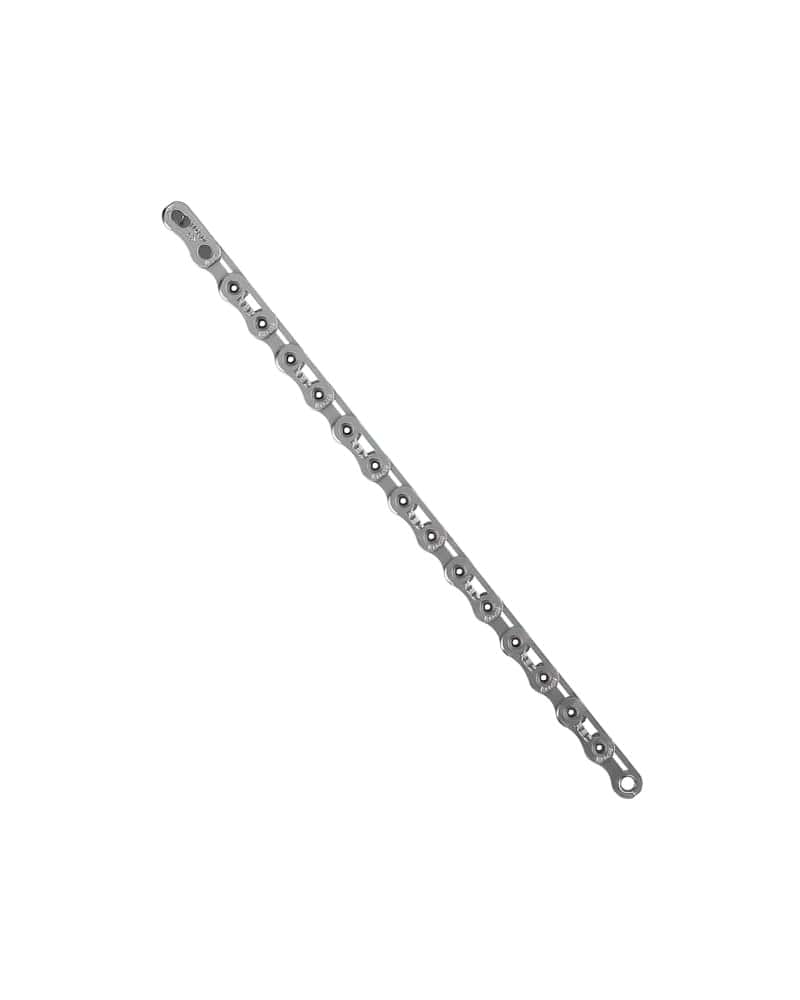 SRAM Red E1 12-speed Chain 1 Sram Red 12s E1 Chain (SIlver) 2 DeNoiseAI standard min